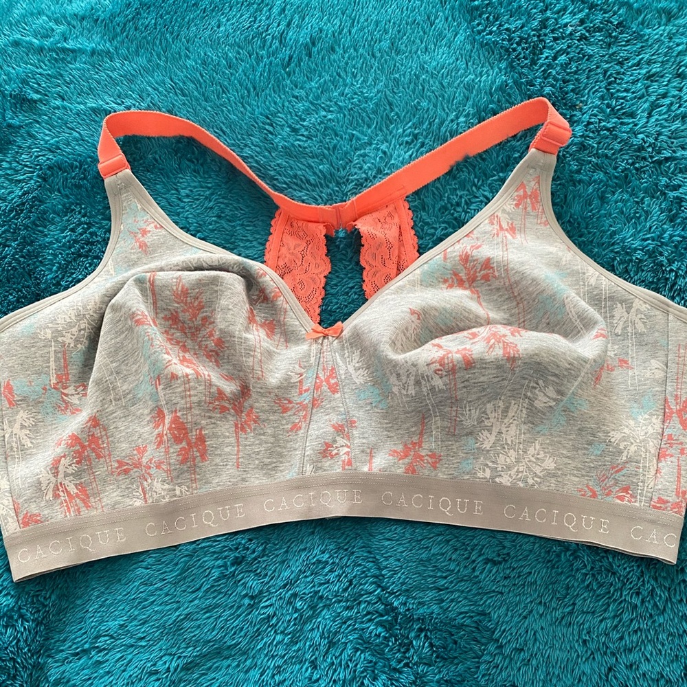 TWO 48ddd Lane Bryant bra